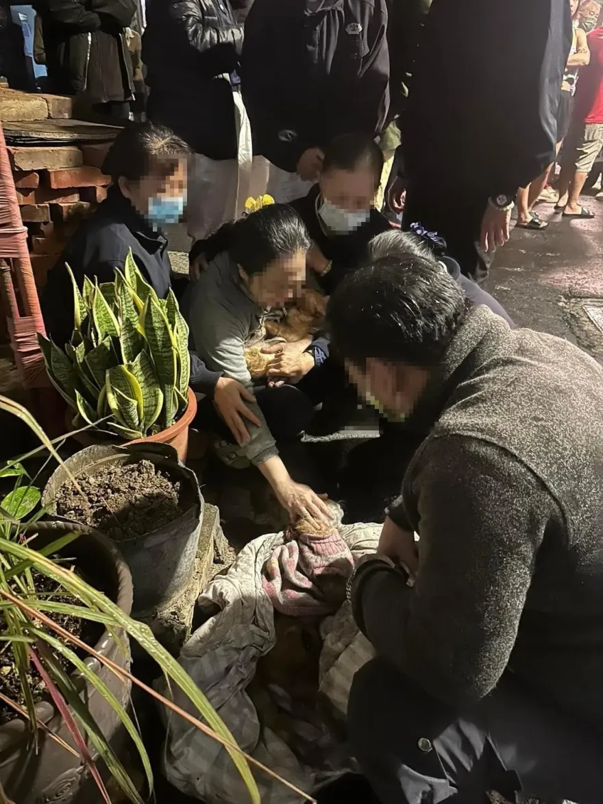 台中近40貓被燒死「飼主痛譙鄰居後下跪道歉」！動保處說話了