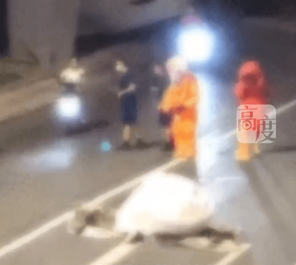 影/天降白色「不明巨物」馬路被砸出大洞　防護服警消封路排查