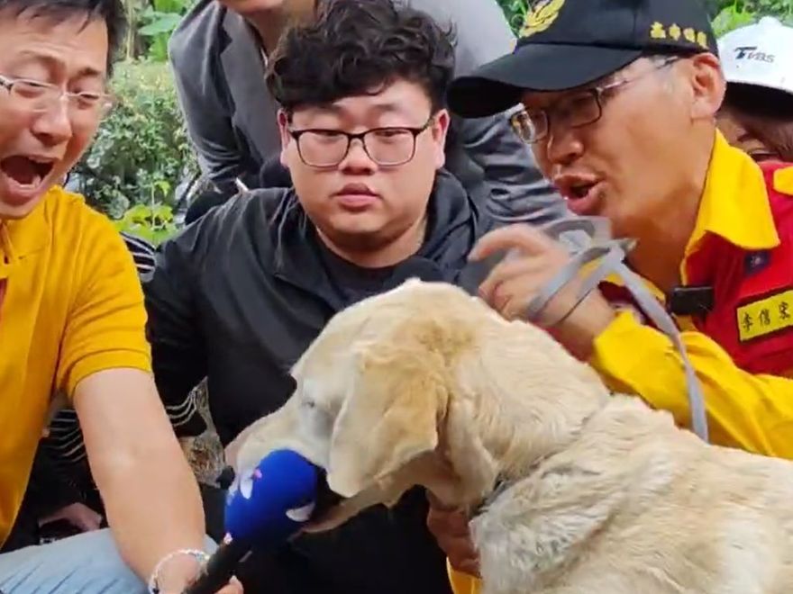 7.2強震撼全台/汪汪隊立大功！搜救犬Roger尋獲第3具遺體　下秒萌咬中天麥克風