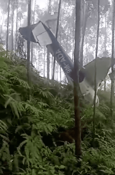 影/驚險畫面曝！大馬小飛機墜毀油棕園　「機頭朝下」撞爛致2傷