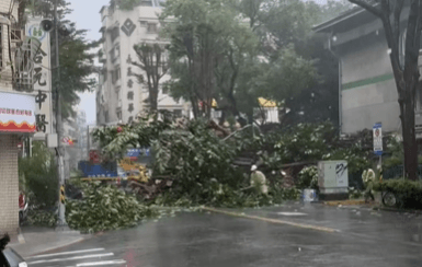 康芮強風豪雨摧殘！新北永和民權路「路樹倒塌」釀災　道路緊急封閉