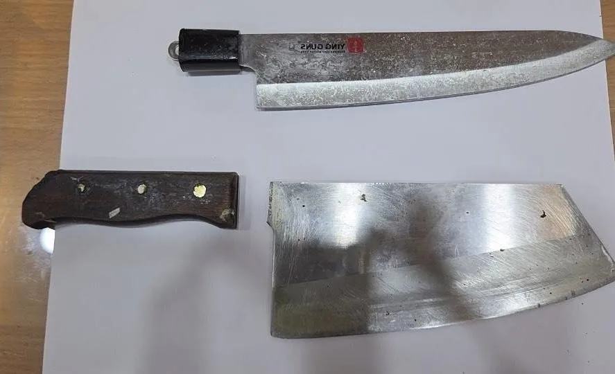 19日清晨，新北市板橋區一名60多歲婦人持菜刀及水果刀，在中正路巷弄內邊跑邊揮舞。（圖／警方提供）