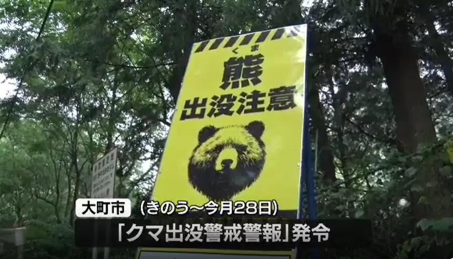 大町市發布「熊出沒警戒警報」。（圖／NNN）