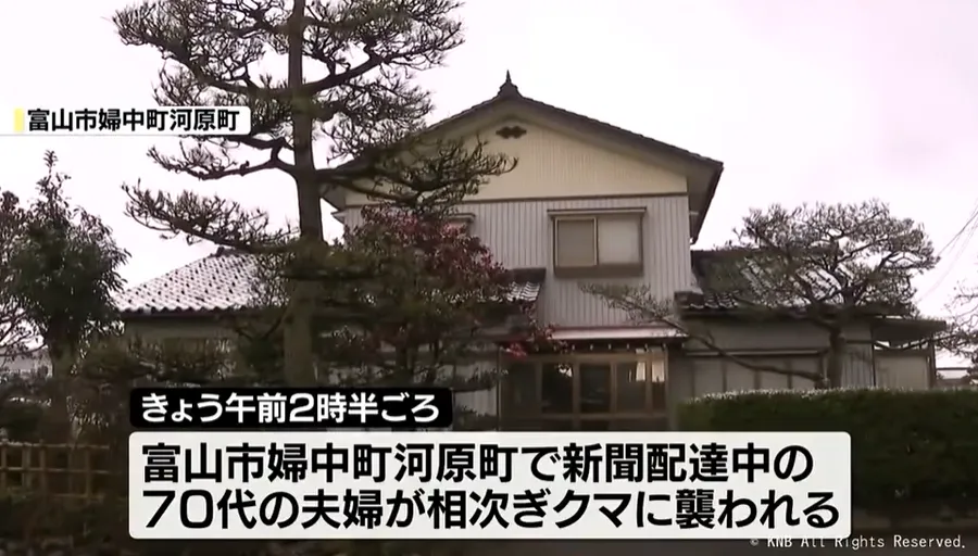 一對7旬夫婦送報時遭到熊襲擊。（圖／NNN）