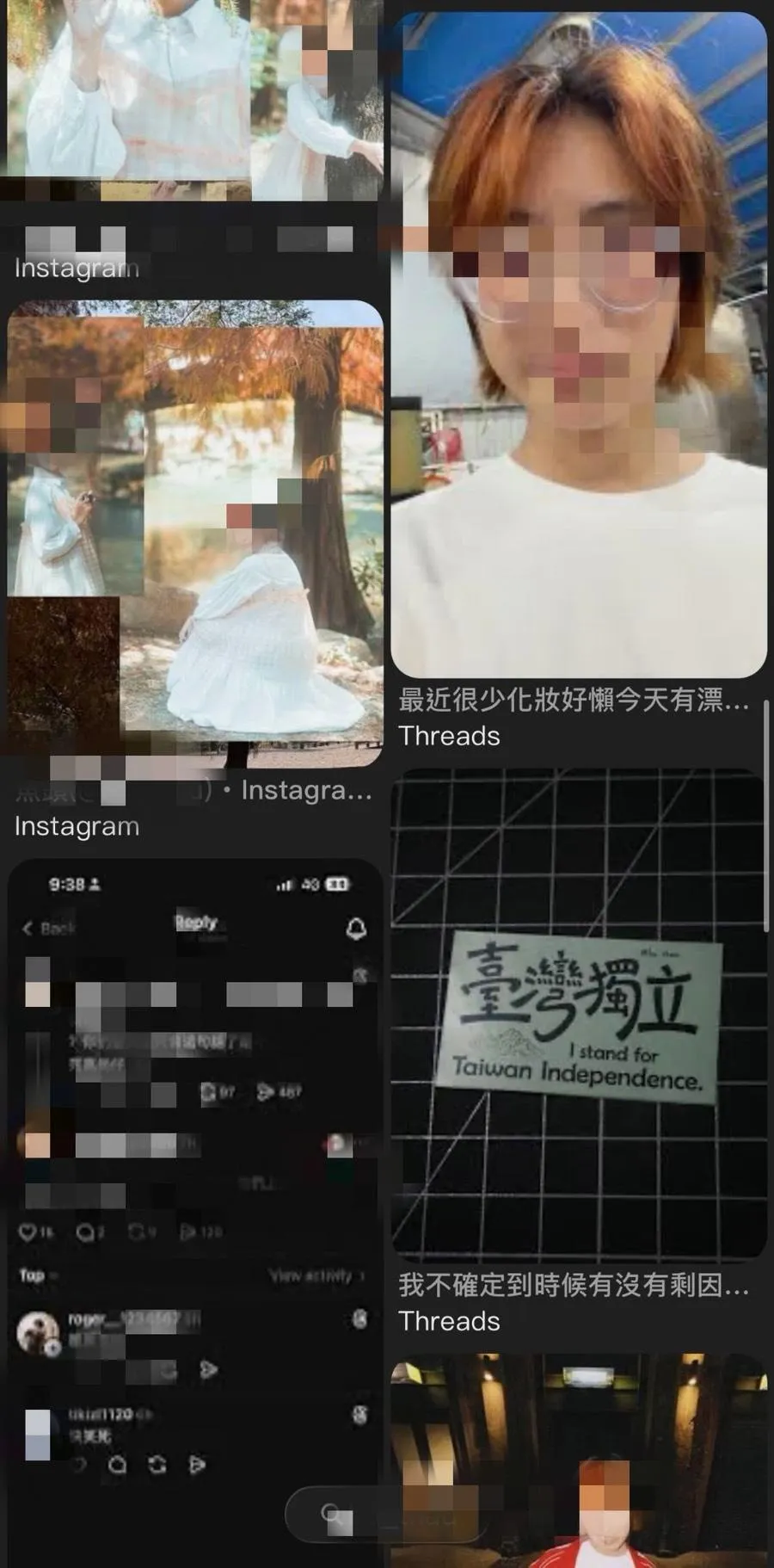 被網友指稱是戴女的社群平台的帳號，細看她的貼文也有支持台灣獨立，被網友懷疑是青鳥。（圖/翻攝畫面）