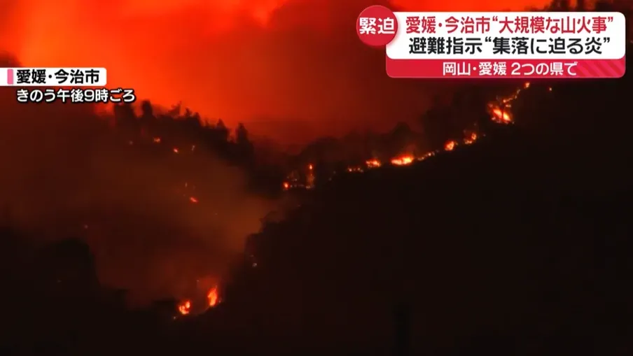 愛媛縣23日發生森林火災。(圖/NNN)