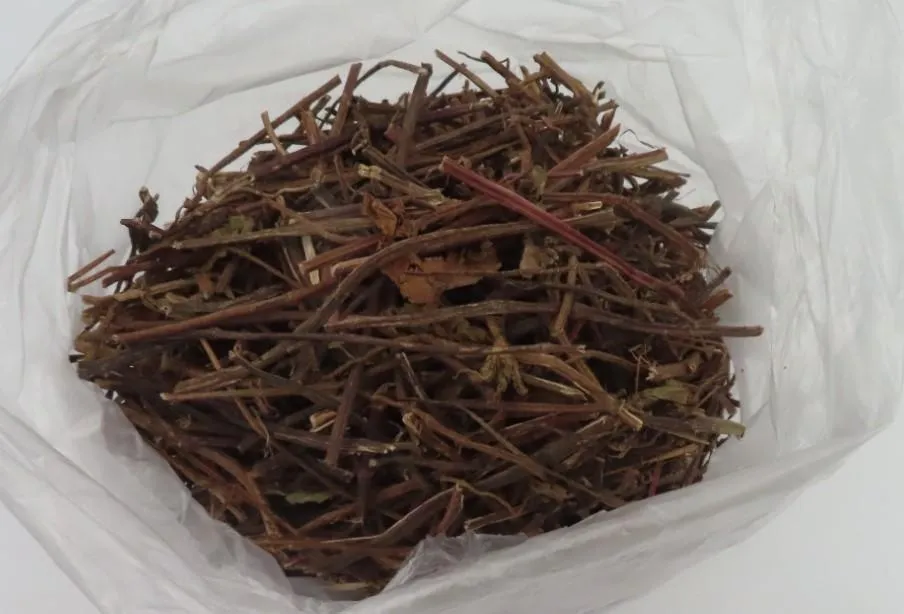 大陸「涼粉草（仙草）」則驗出賽滅寧及巴克素雙雙超標，35,360公斤依規定退運或銷毀。（圖／食藥署）