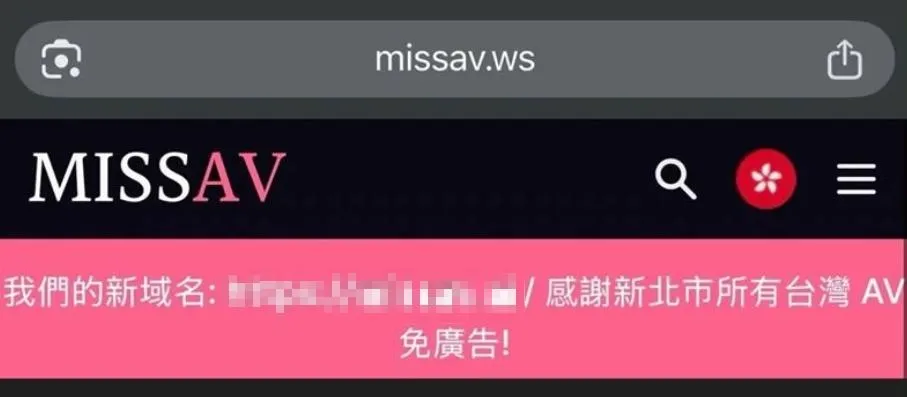 「MissAV」公布新網域，再度引起網友們討論。（圖／翻攝官網）