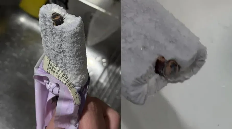 食安問題不斷!近日一對情侶在超商購買連珍推出的芋頭冰棒時,發現冰棒內竟包裹著「一整隻完整蟑螂」,讓兩人驚嚇不已。(圖/翻攝自Threads)