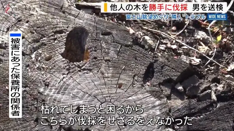 郭亞川涉非法砍伐鄰近保養所內的樹木枝幹，並對樹木灑除草劑。（圖／NNN）