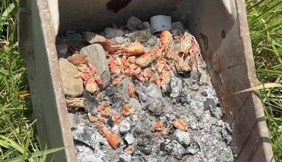 屏東有工人將怪手變成烤架神器。(圖/翻攝畫面)