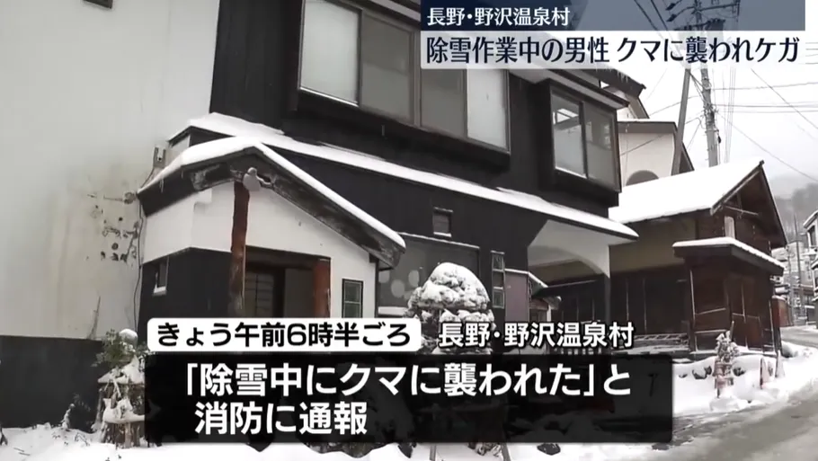 一名78歲男性在家門前除雪時被熊抓傷。（圖／NNN）