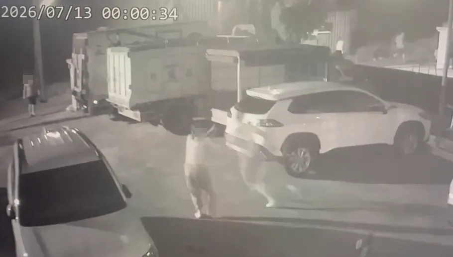 越南籍男子酒後與友人爆發衝突，背部中刀不治身亡。（圖／翻攝畫面）