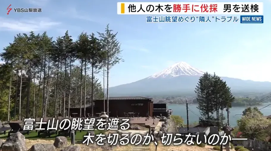 郭亞川等人為了富士山景觀而砍樹、毒樹。（圖／NNN）