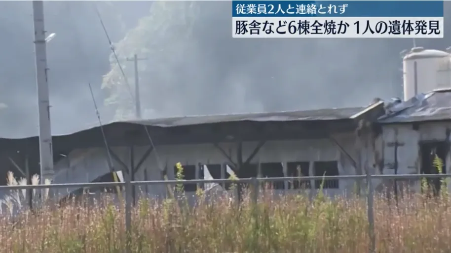 火災導致6棟建築物全部燒毀。(圖/NNN)