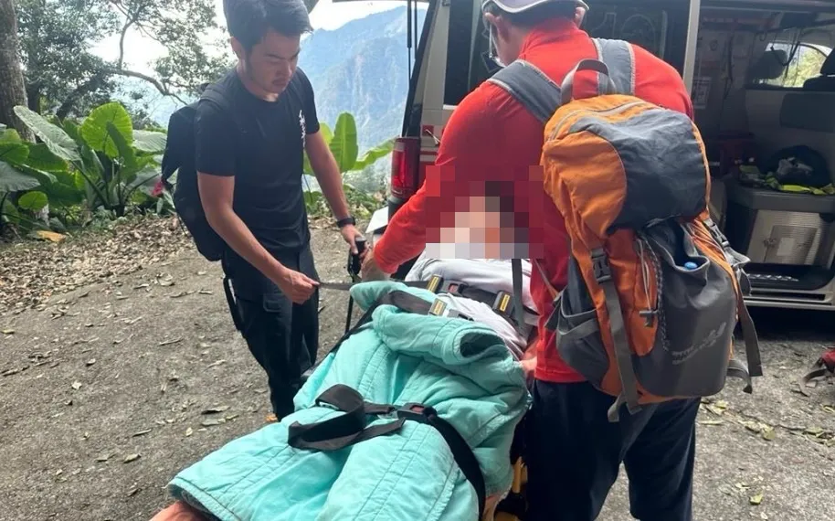 台中馬崙山步道今又有登山客遭虎頭蜂螫傷。（圖／翻攝畫面）