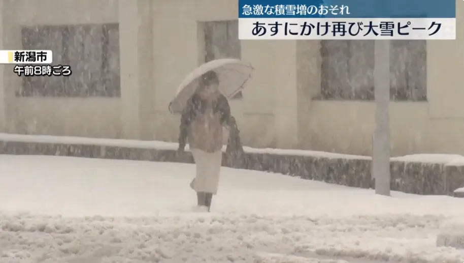 一位民眾撐傘行走在雪中。(圖/NNN)