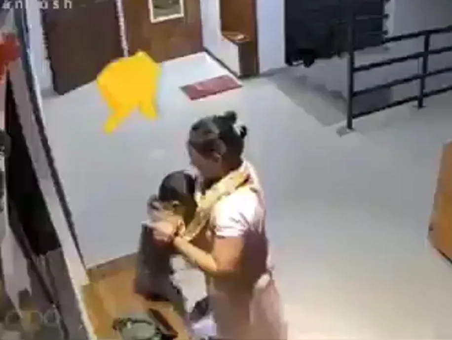 安維卡穿上成人鞋子四處走動，母親發現情況後，於是將她抱起並安置在鞋櫃頂部。（圖／翻攝X）
