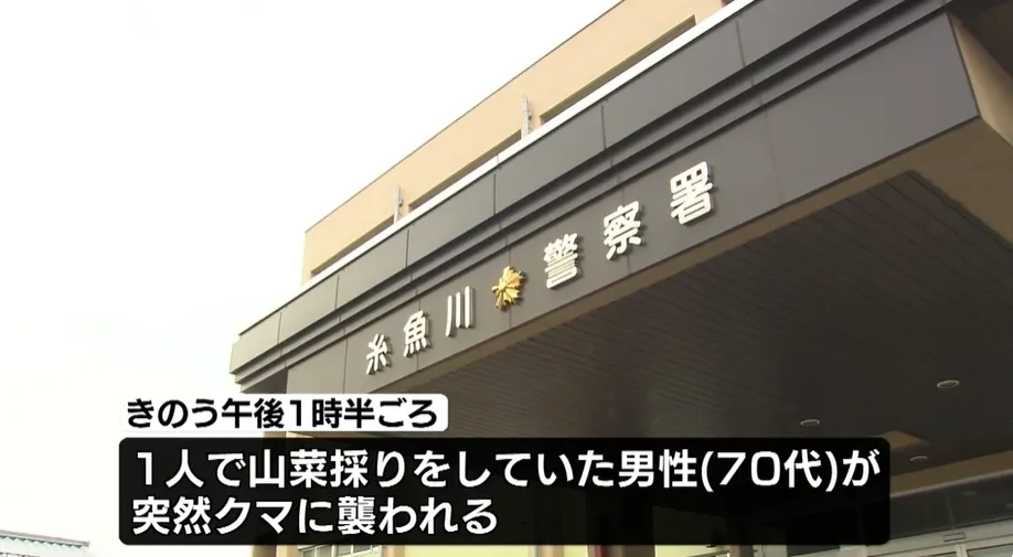 圖為糸魚川警察署。(圖/NNN)