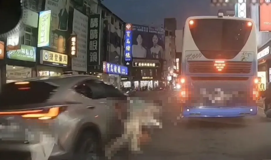 張婦忽略左側車流，最終與一輛由49歲蔡姓女子駕駛的休旅車相撞，當場倒地。（圖/記者爆料網）