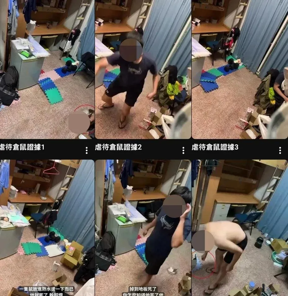 高雄某國立大學陳姓物理系準碩士生,涉嫌於半年內殘忍虐殺多達四十隻倉鼠。(圖/翻攝自YT@abc321)