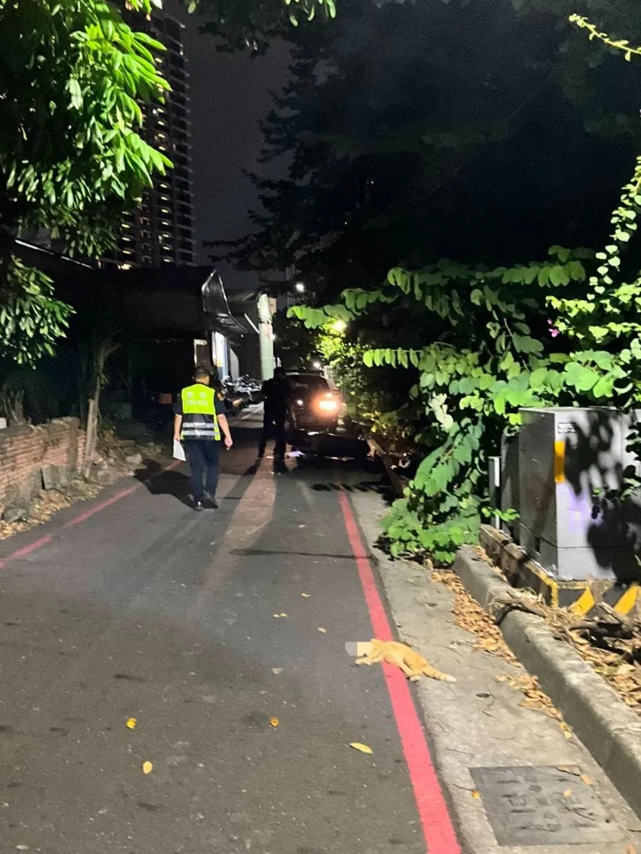 朱志生接獲通知準備趕回醫院治療病患，騎車行經博愛一路433巷撞上突竄貓咪摔車。（圖／警方提供）