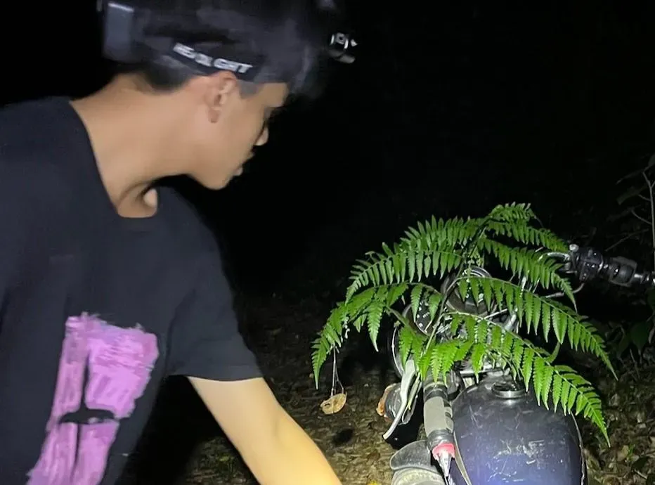 泰雅族獵人會用一片樹葉作為標記，避免其他人誤入受傷。（圖/鄭緯浩攝）