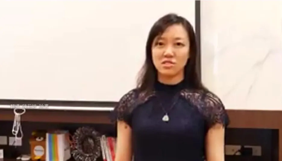 曾以「華爾街女神」之名活躍的陳莉婷,再陷重大刑案。(圖/翻攝畫面)