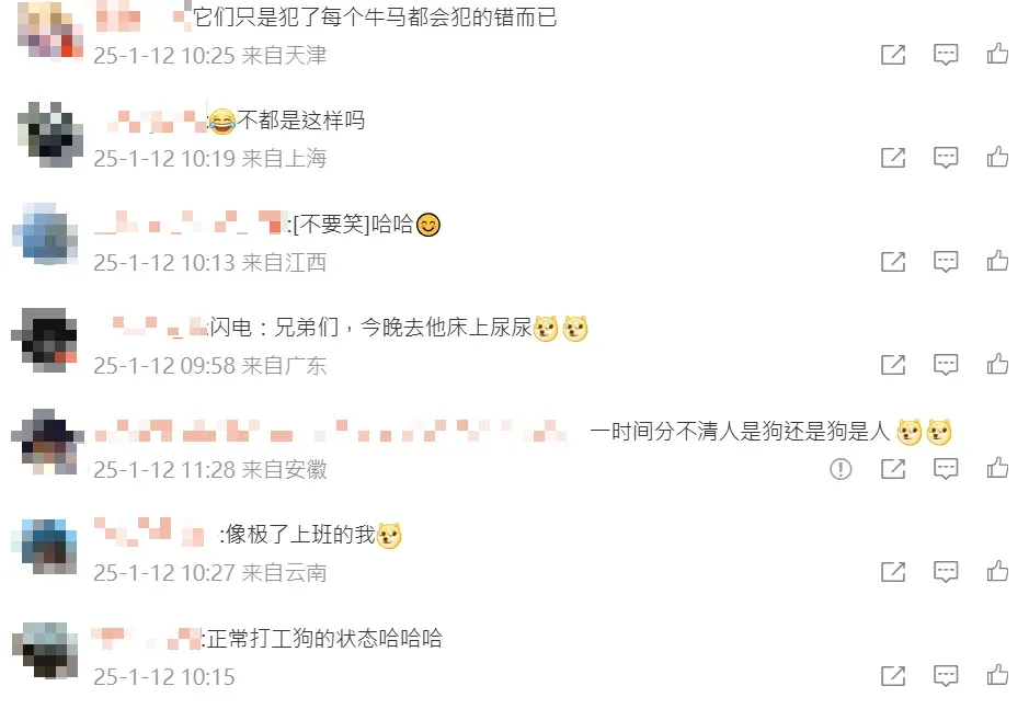 網友反應。（圖／翻攝微博）