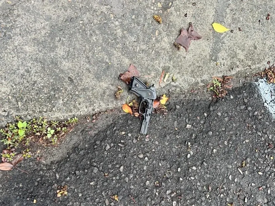 網友PO文稱在台中軍功路二段道路發現搶枝。（圖／翻攝畫面）