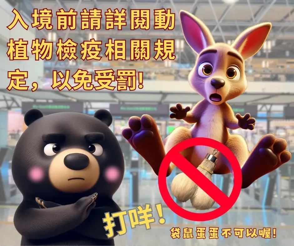 駐墨爾本台北經濟文化辦事處提醒,「袋鼠蛋蛋」智成的鑰匙圈、開瓶器等動物產品不可入境台灣。(圖/翻攝自Facebook@Taiwan in Melbourne)