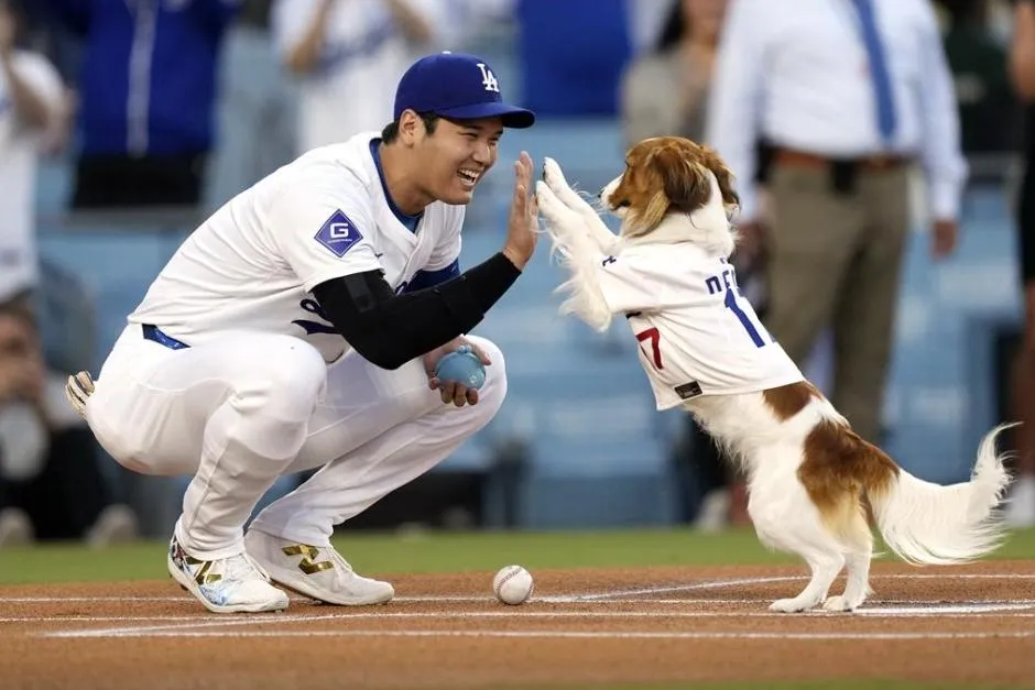 大谷和Dekopin開球後擊掌模樣超有愛。(資料照/美聯社)