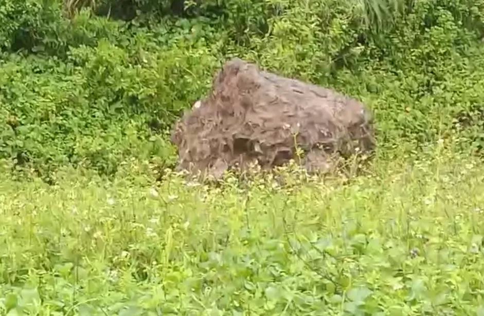 龜灣路段更出現大顆落石，大量土石與石塊散落在車道上，導致車輛暫時無法通行。（圖／翻攝畫面）