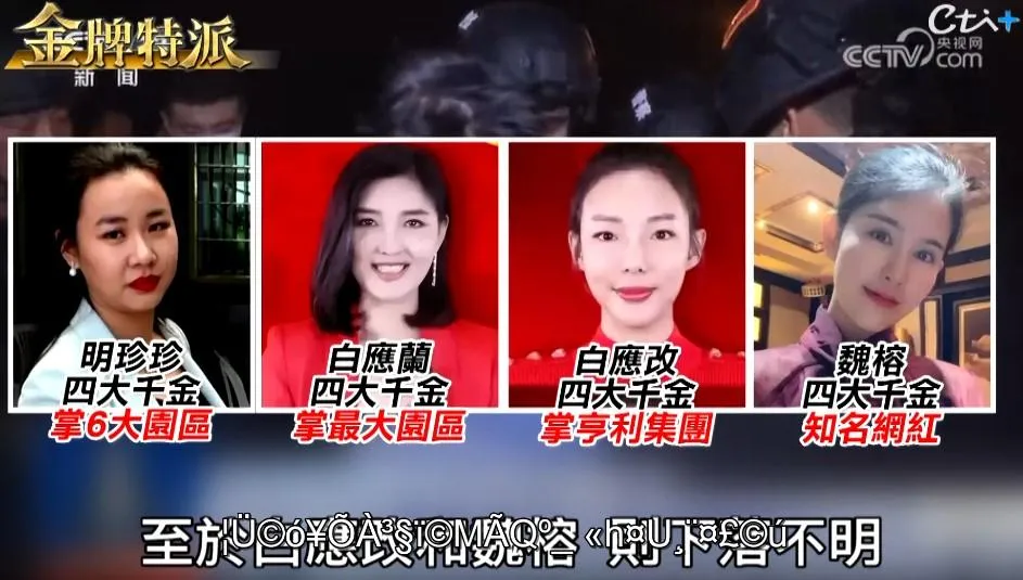四大千金的虛假天堂，慈善名媛背後竟是血腥詐園。（圖／金牌特派）
