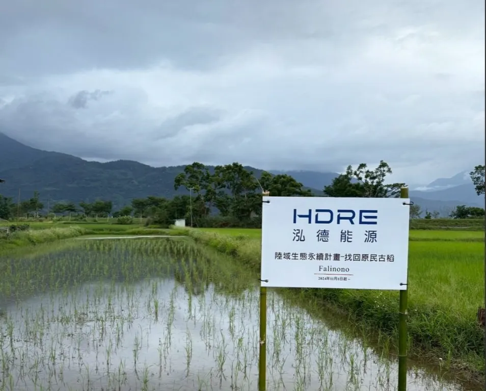 泓德能源在2025年攜手21家供應鏈夥伴投入永續行動，累計永續響應資金超過新台幣800萬元。（圖／泓德能源提供）