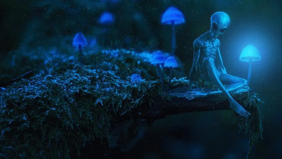 曾任情報官員的美國退役空軍少校格魯驚爆，地球上有外星混血兒藏身人群。（示意圖／PIXABAY）
