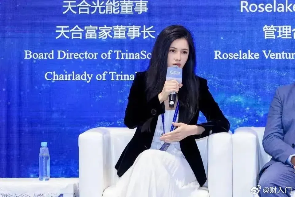 高海純新任天合光能聯席董事長。（資料照／翻攝自微博）