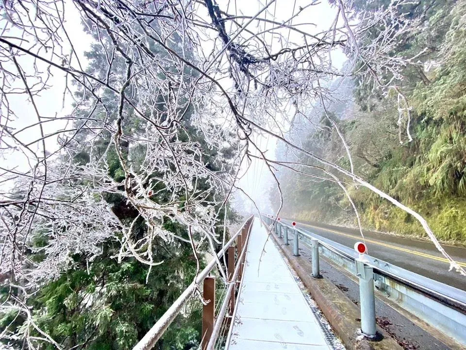 太平山莊今天凌晨3時起降下冰霰。（圖／翻攝自太平山國家森林遊樂區臉書，以下相同）