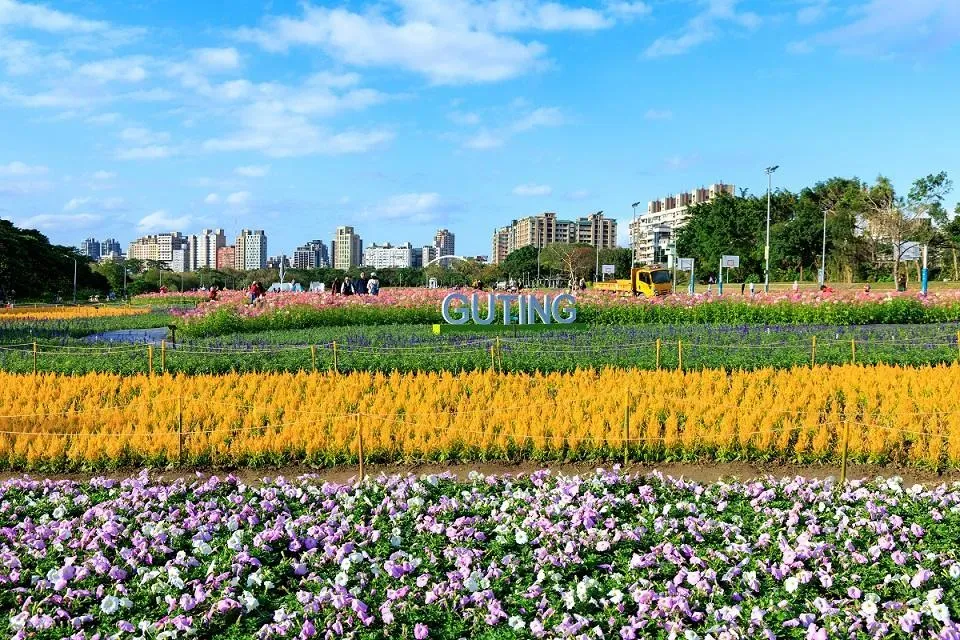 大片金黃色的雞冠花給人生機盎然之感。（圖／翻攝自花IN台北官網／曹正邦攝）