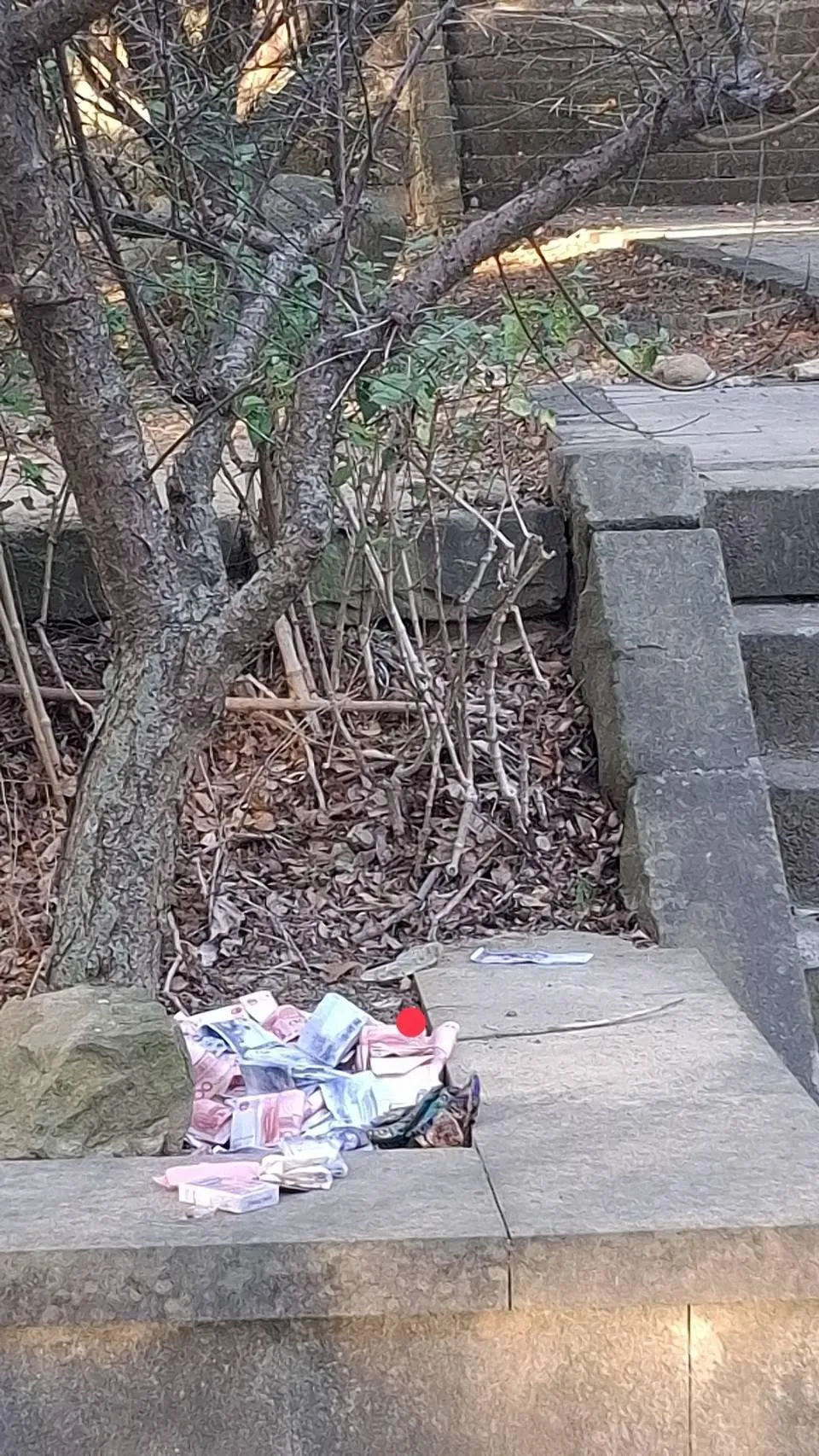 苗栗市失智富翁將金條及現金遺留在貓裡山公園。（圖／民眾提供）
