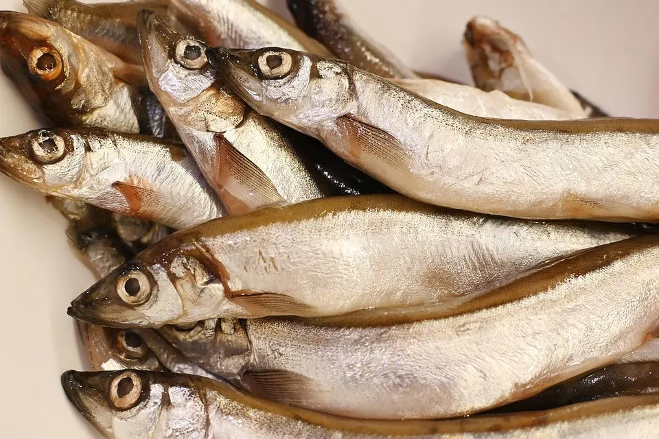 魚類富有優質蛋白質,是許多專家推薦的養生食材。(示意圖/Pixabay)