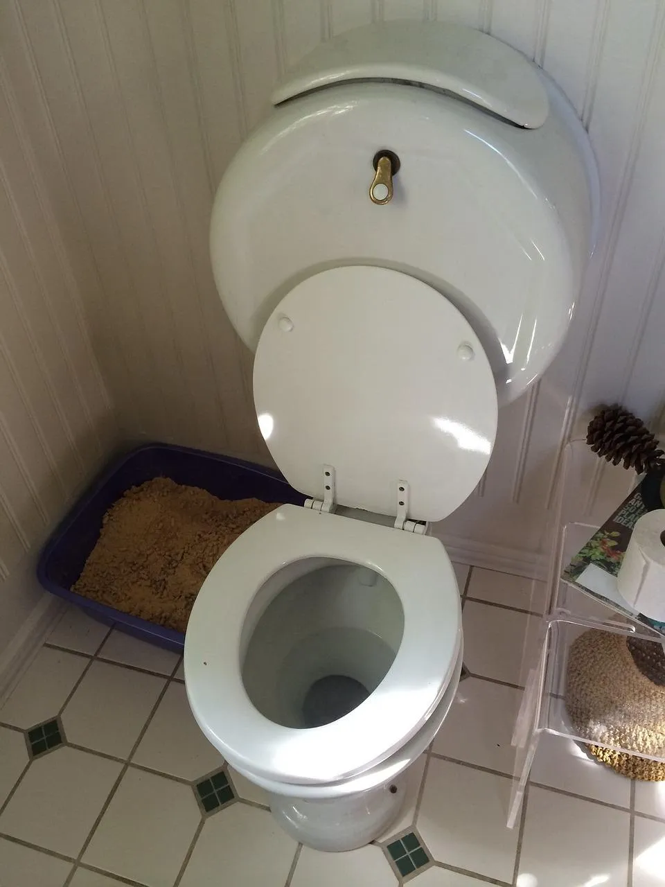 出現血便，像是草莓果醬般的黏液血便，可能是腸套疊；或出現黑便，像柏油一樣黑黑亮亮的，也屬異常。（示意圖／Pixabay）