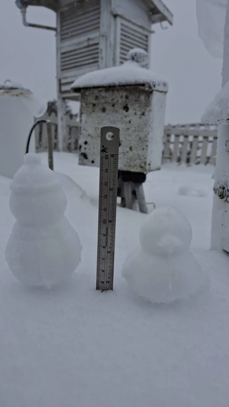 氣象署說明，28日3500公尺以上高山有零星降雪機會，玉山氣象站上午7時10分降雪，10時雪深已達4公分，目前持續降雪中。（圖／氣象署提供）