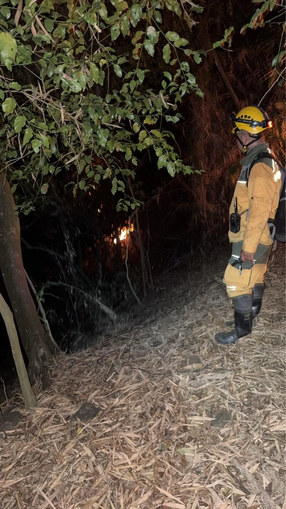 高雄市美濃區廣福街15日發生雜草火警，現場為竹林燃燒，高雄市政府消防局派遣人車前往搶救，並出動空拍機輔助救災，目前火勢已熄滅，無人員受傷。（圖／高雄市政府消防局提供）