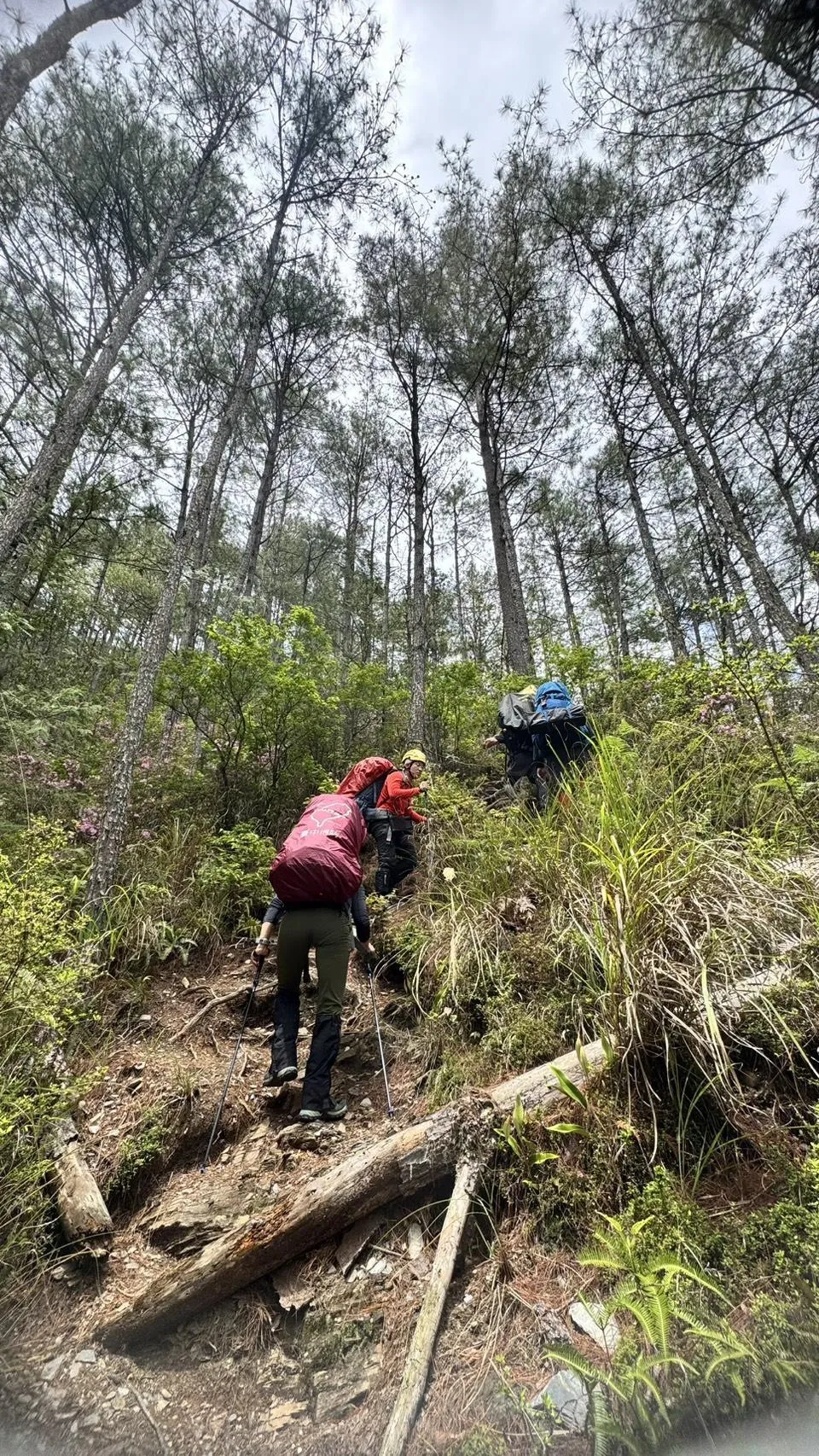 救難人員先背負遺體下山，然後由直升機接手吊掛。（圖／翻攝畫面）