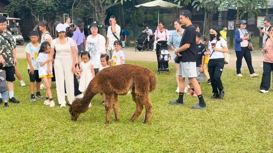 綠世界生態農場為了向全臺教師致敬，特別在教師節檔期推出專屬感恩優惠。（圖／翻攝畫面）