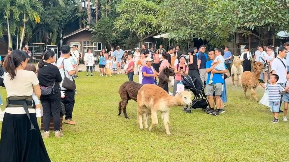 綠世界生態農場為了向全臺教師致敬，特別在教師節檔期推出專屬感恩優惠。（圖／翻攝畫面）