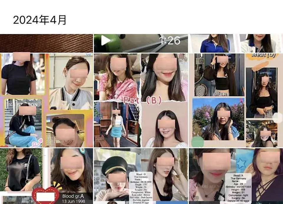台灣男性客戶經介紹後,集團會提供大量泰國籍卵母的個人資料與照片供其挑選,並宣稱加價可指定嬰兒性別。(圖/翻攝畫面)