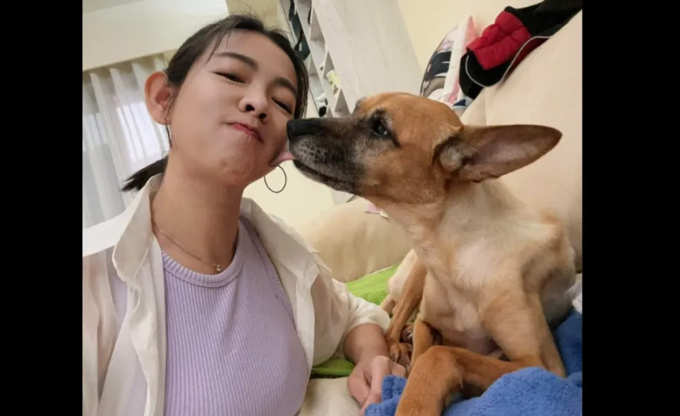 米可白飼養的愛犬「錢錢」罹患胃癌。（圖／翻攝自米可白 臉書）