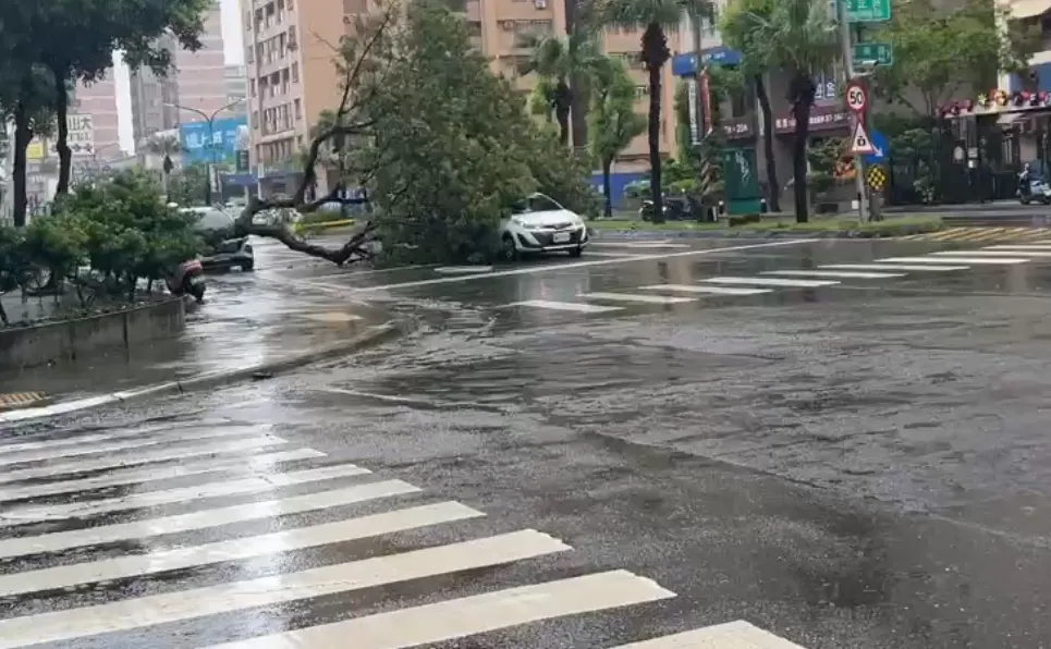 高雄保泰路與公正路口路樹突倒塌，砸中停放車輛。（圖／翻攝畫面）